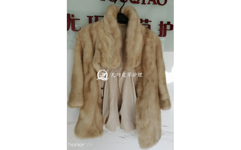 貂皮受潮皮硬能处理吗?貂皮变硬还能否恢复